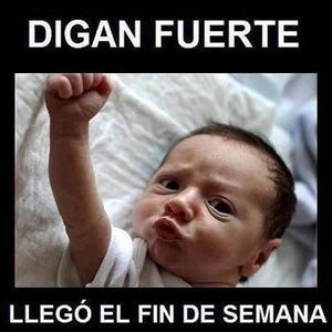 Meet your Posher, Antonio